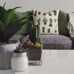 Decoración